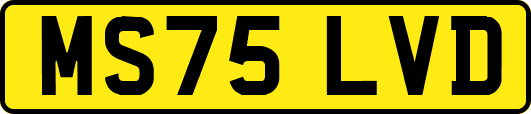 MS75LVD