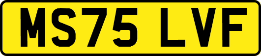 MS75LVF