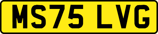 MS75LVG