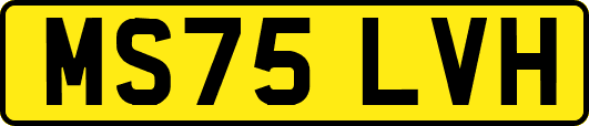 MS75LVH