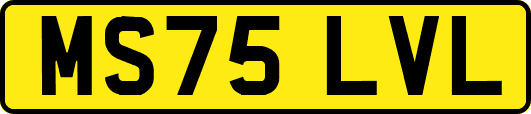 MS75LVL