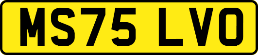 MS75LVO