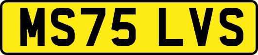 MS75LVS