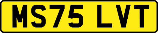 MS75LVT