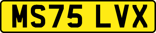 MS75LVX