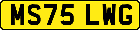 MS75LWG