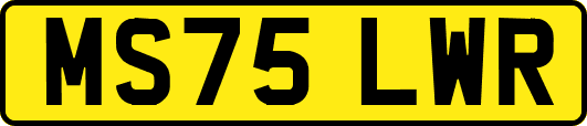 MS75LWR