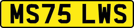 MS75LWS