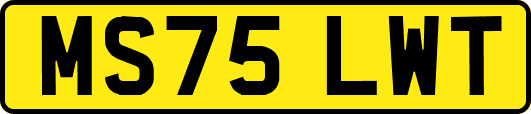 MS75LWT