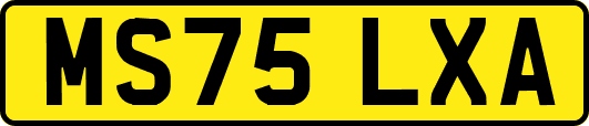 MS75LXA