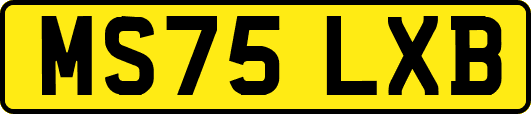 MS75LXB