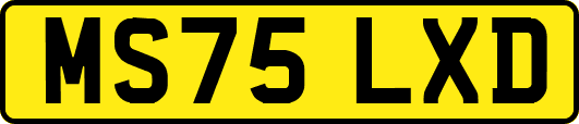 MS75LXD