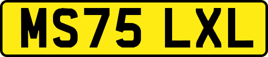 MS75LXL
