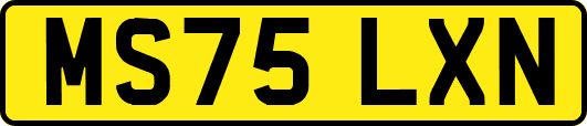 MS75LXN