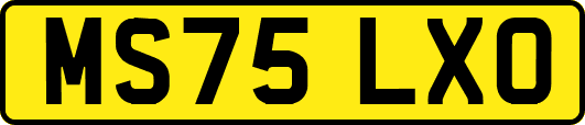 MS75LXO
