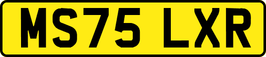 MS75LXR