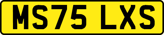 MS75LXS