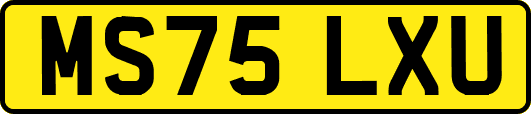 MS75LXU