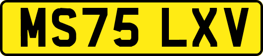 MS75LXV