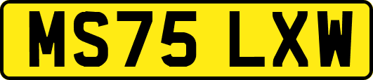 MS75LXW