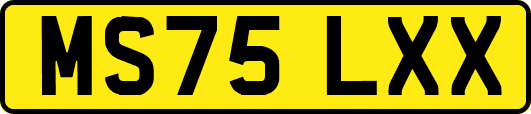 MS75LXX