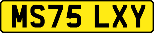 MS75LXY
