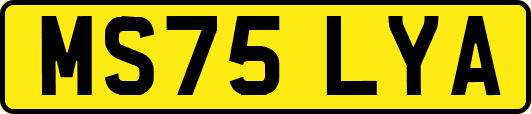 MS75LYA
