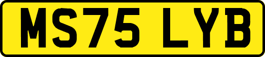 MS75LYB