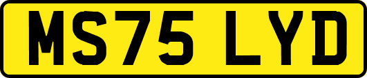 MS75LYD