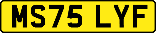 MS75LYF
