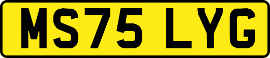 MS75LYG