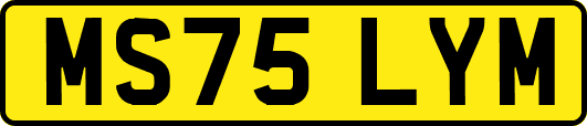 MS75LYM