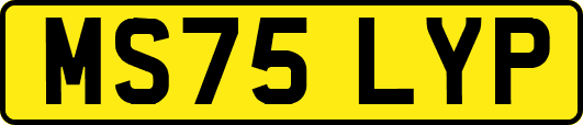 MS75LYP