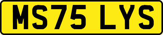 MS75LYS