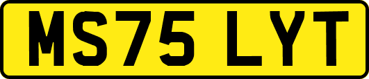 MS75LYT