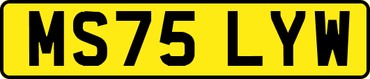 MS75LYW