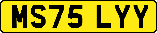 MS75LYY