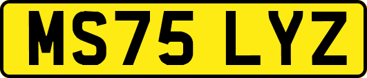 MS75LYZ