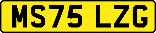 MS75LZG
