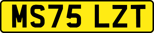 MS75LZT