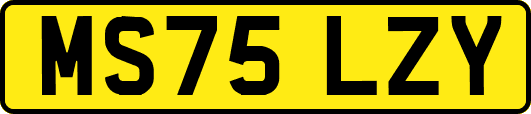 MS75LZY
