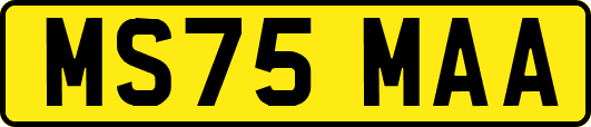 MS75MAA