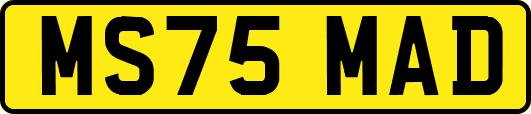 MS75MAD