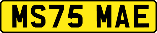 MS75MAE