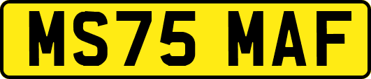 MS75MAF