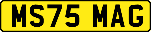 MS75MAG