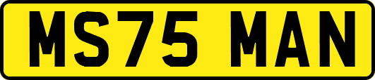 MS75MAN