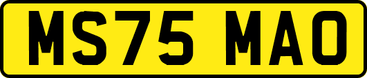 MS75MAO