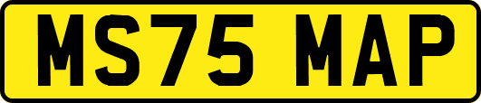 MS75MAP