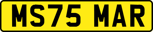 MS75MAR